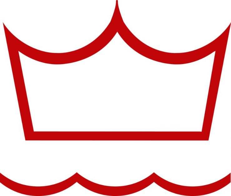 DV logo.jpg